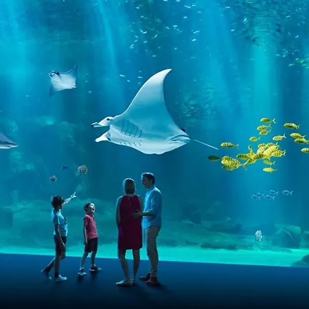 Les Cotes - Dunes Du Golf - Vue - Wmx * ويميرو